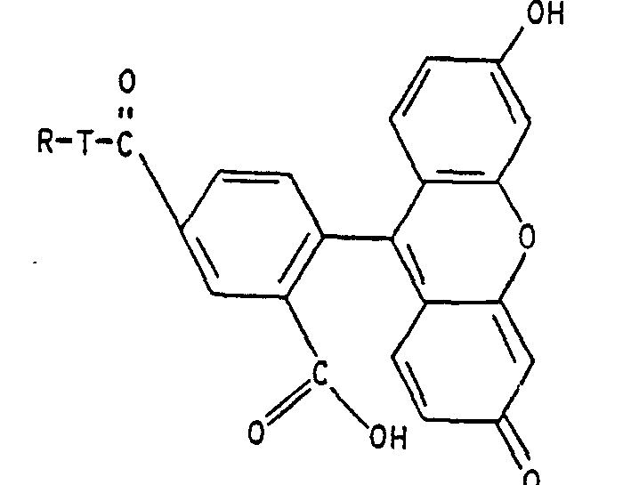 Figure imgb0033