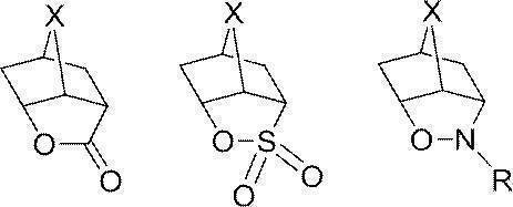 Figure JPOXMLDOC01-appb-C000031