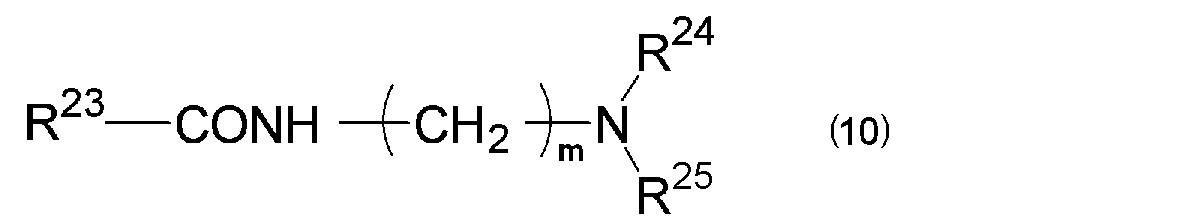 Figure JPOXMLDOC01-appb-C000010