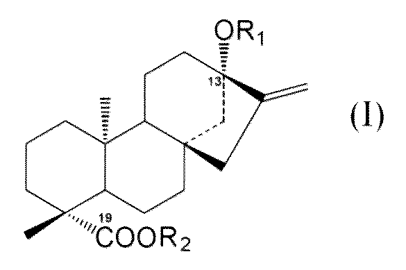 Figure JPOXMLDOC01-appb-C000026