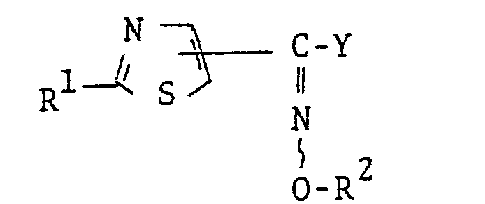 Figure imgb0024