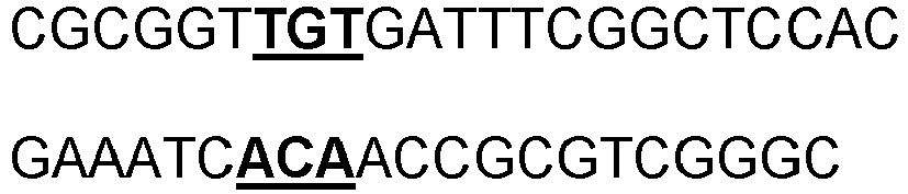 Figure imgb0019
