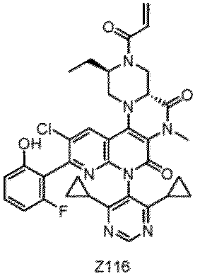 Figure imgb0303