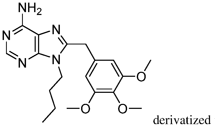 Figure imgf000053_0002