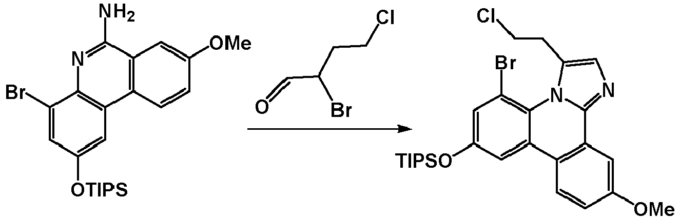 Figure imgb0448