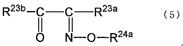 Figure JPOXMLDOC01-appb-C000024