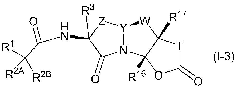 Figure JPOXMLDOC01-appb-C000130