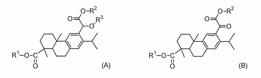 Figure JPOXMLDOC01-appb-C000002