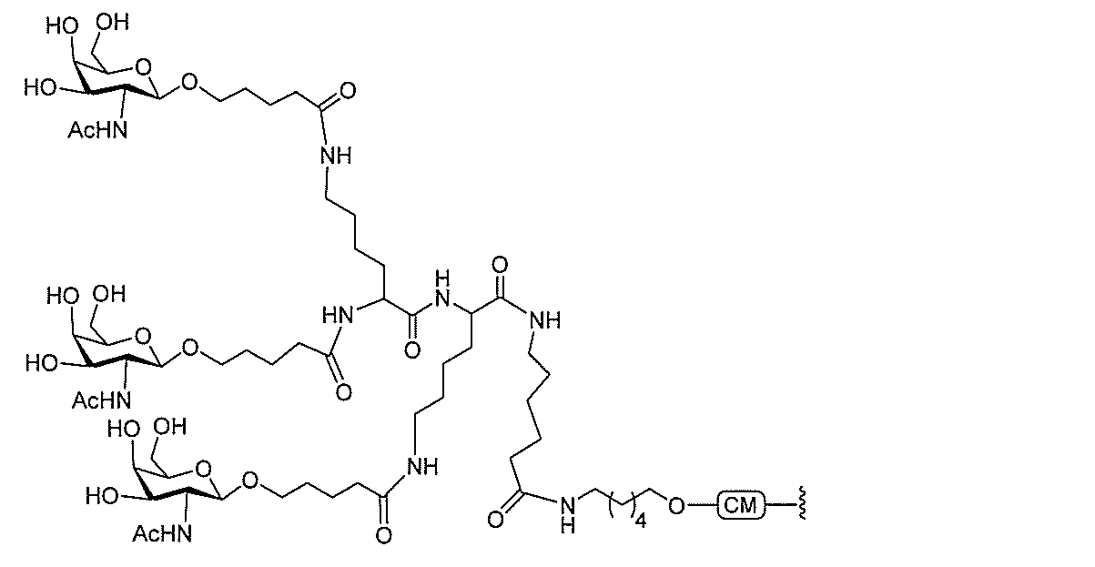 Figure 2022017514000311