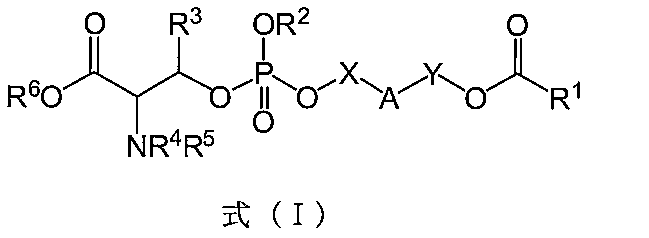 Figure JPOXMLDOC01-appb-C000012