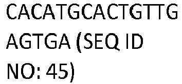 Figure imgb0133