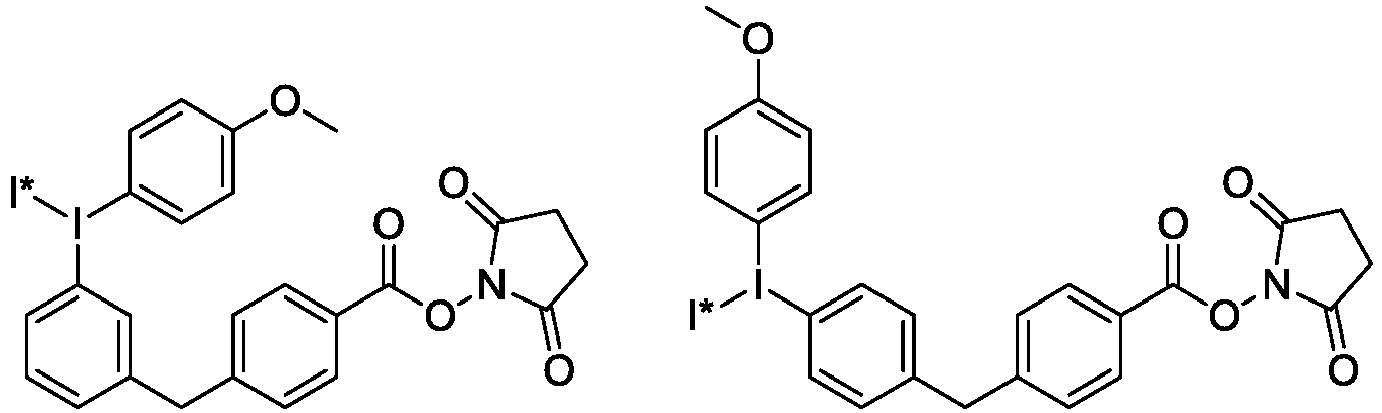 Figure imgb0121
