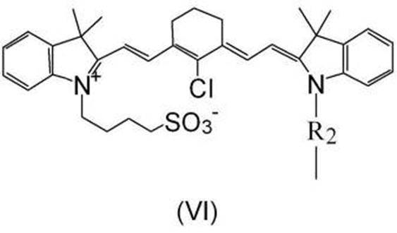 Figure JPOXMLDOC01-appb-C000031