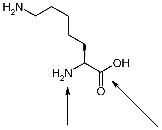Figure imgf000065_0001