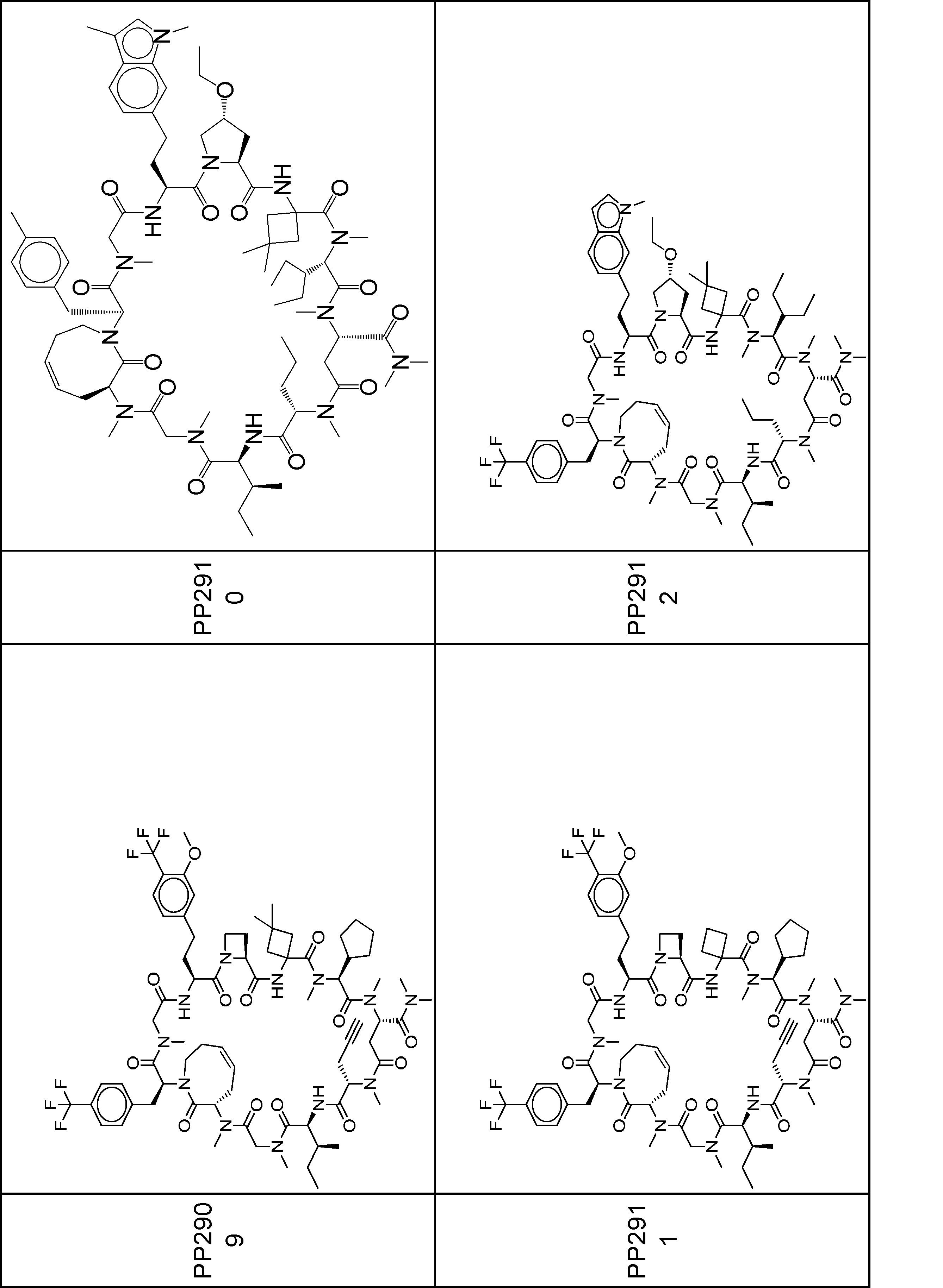 Figure JPOXMLDOC01-appb-I001174