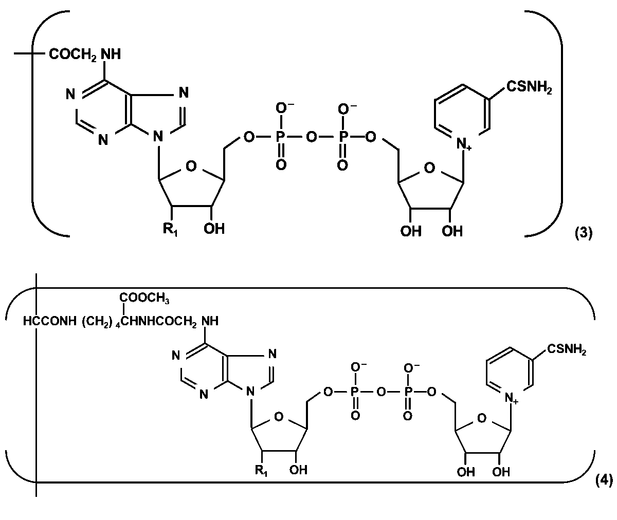 Figure JPOXMLDOC01-appb-C000002