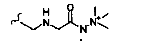 Figure imgb0054