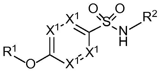 Figure imgf000004_0001