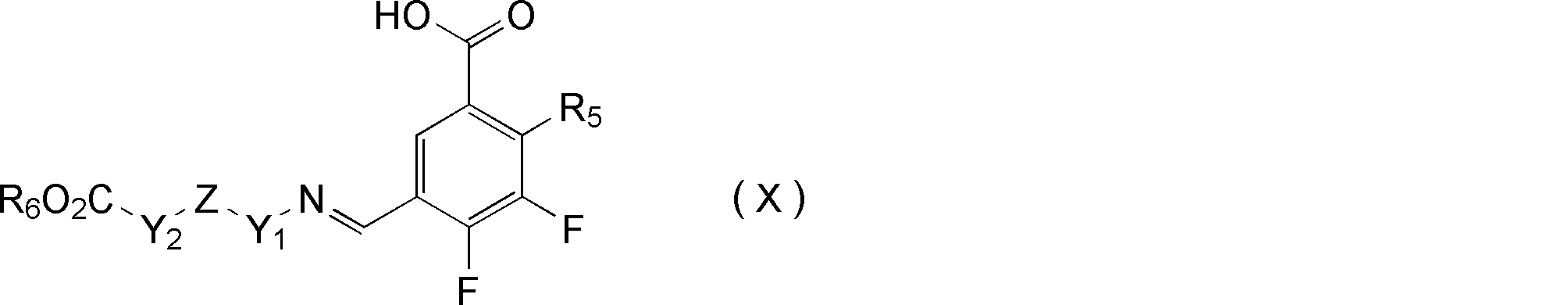 Figure JPOXMLDOC01-appb-C000033