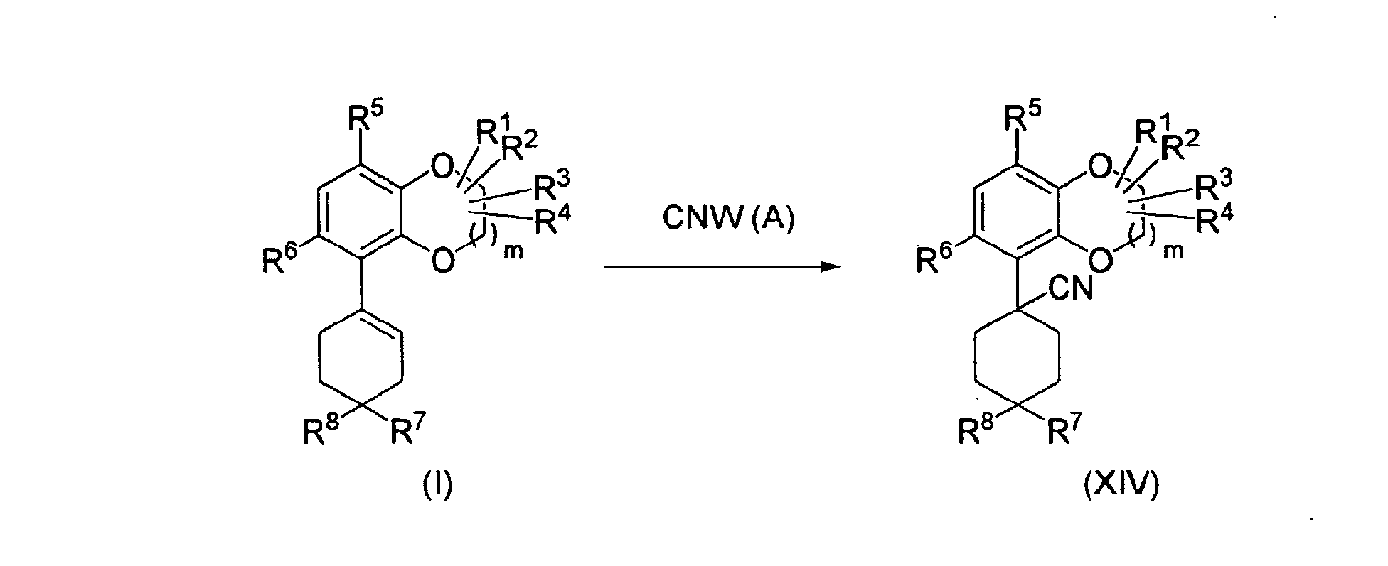Figure 00310001