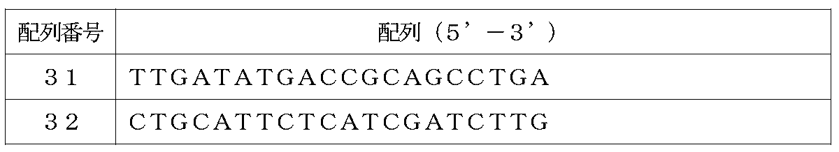 Figure 0007547511000006