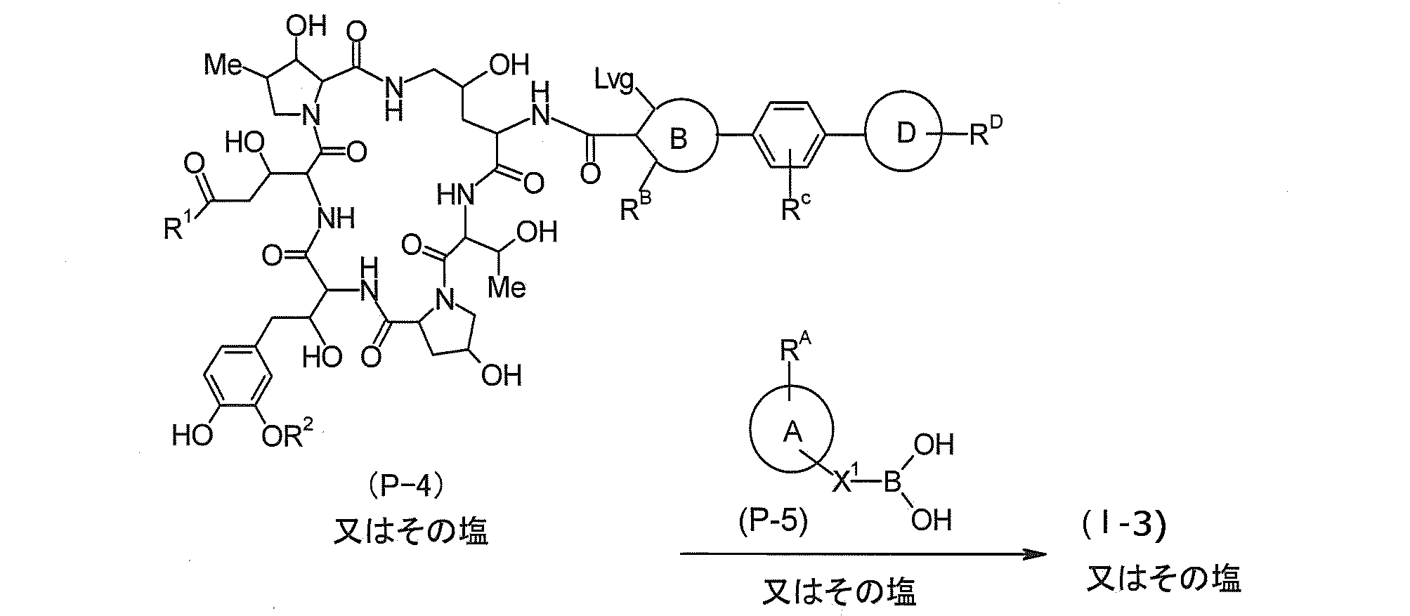 Figure JPOXMLDOC01-appb-C000012