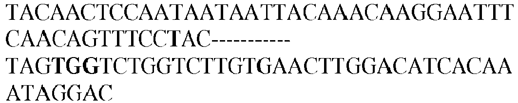 Figure imgb0044