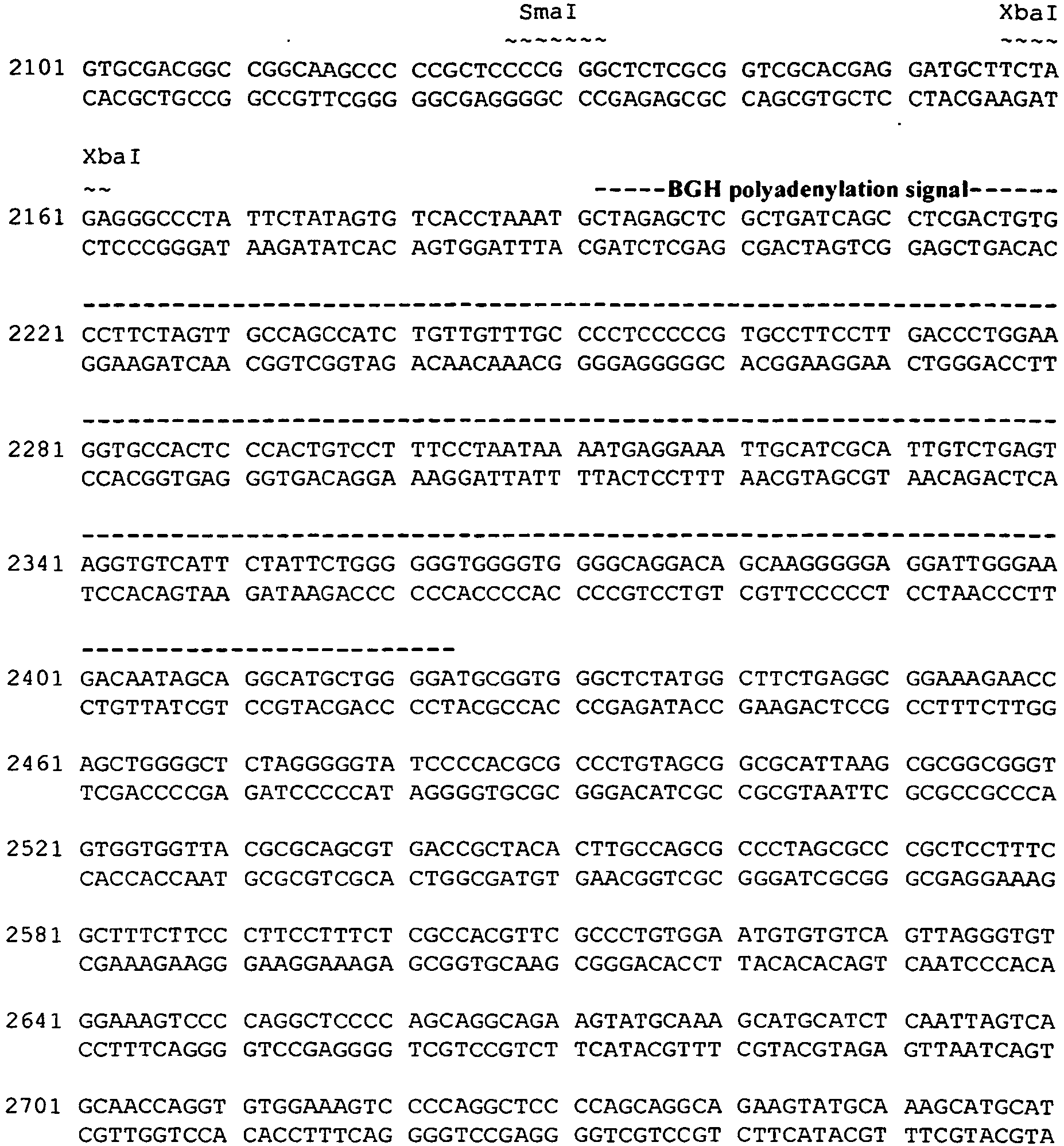 Figure imgb0249