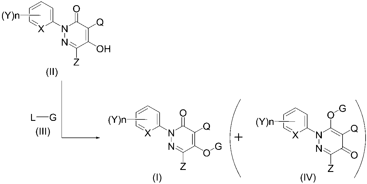 Figure JPOXMLDOC01-appb-C000011