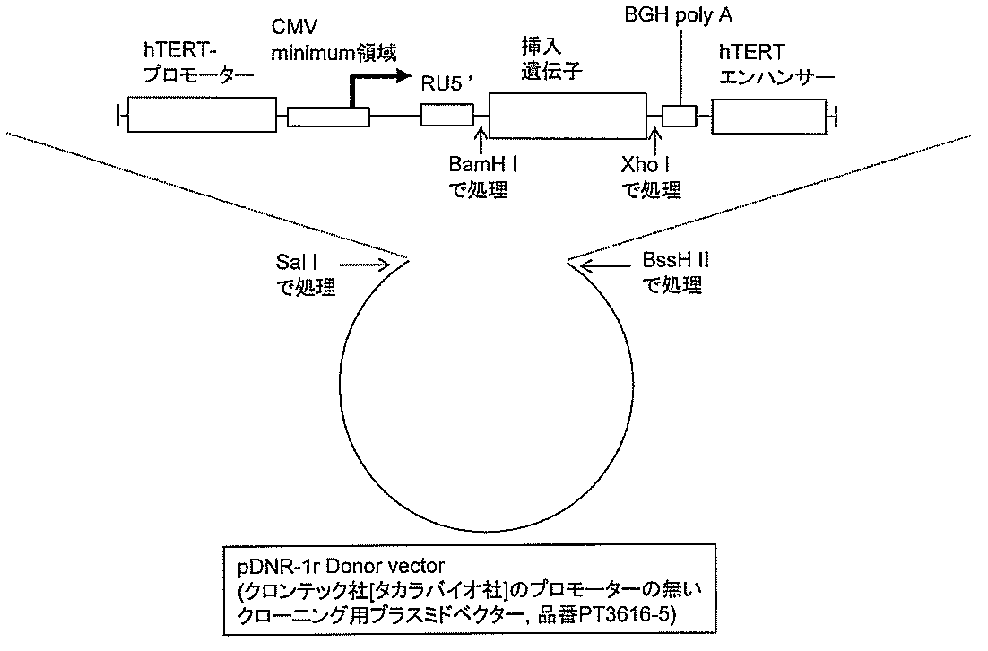 Figure JPOXMLDOC01-appb-I000004