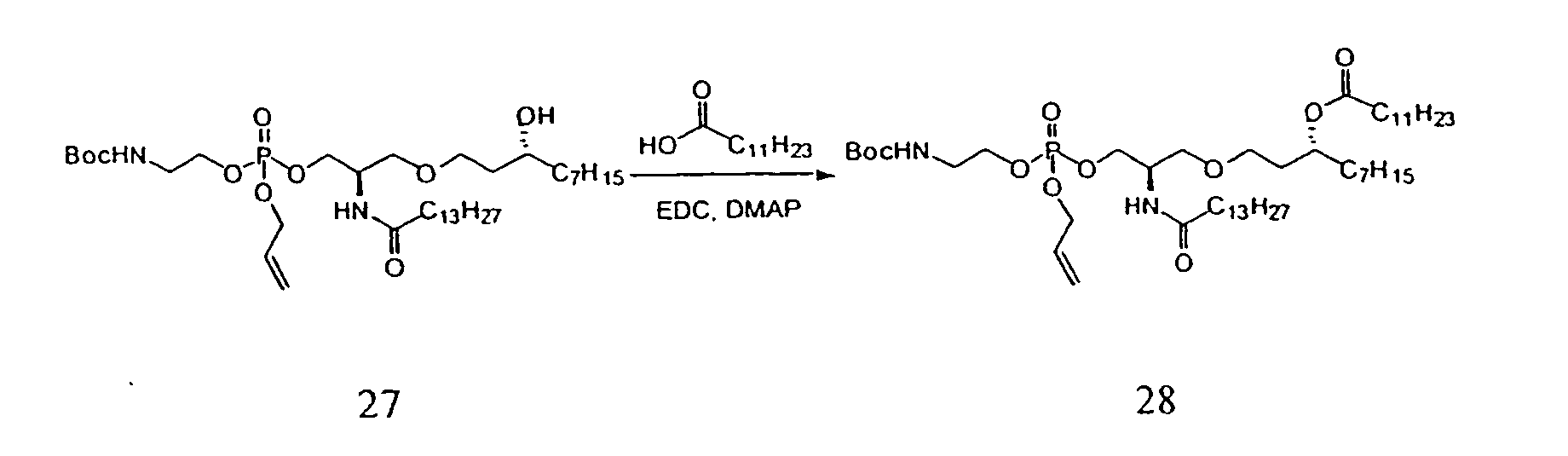 Figure 00250001