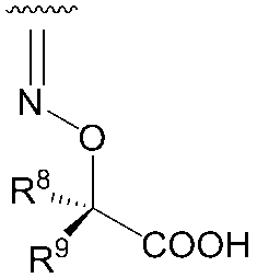 Figure JPOXMLDOC01-appb-C000111