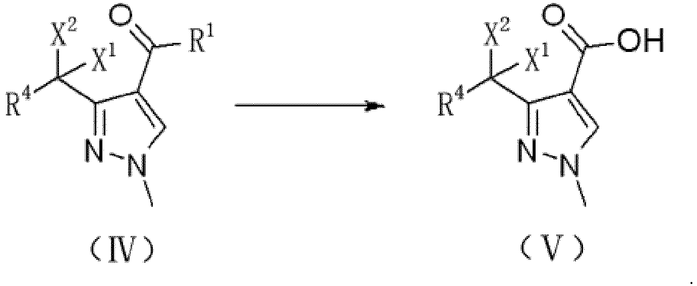 Figure imgb0024