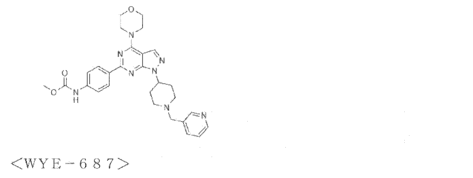 Figure JPOXMLDOC01-appb-C000029