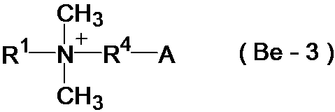 Figure JPOXMLDOC01-appb-C000019