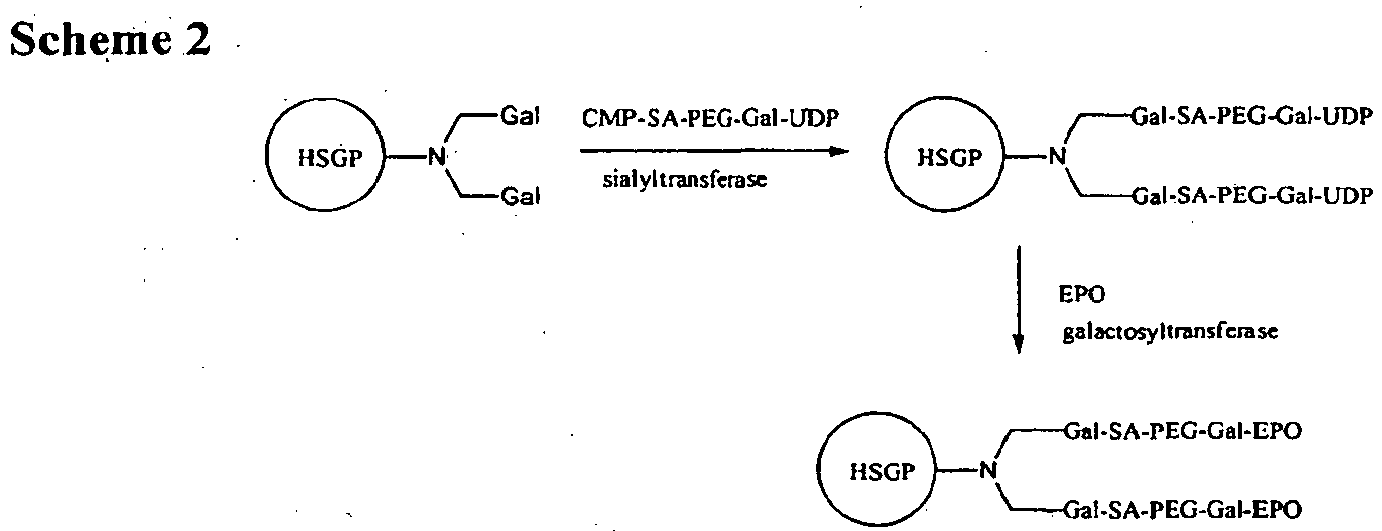 Figure imgb0055