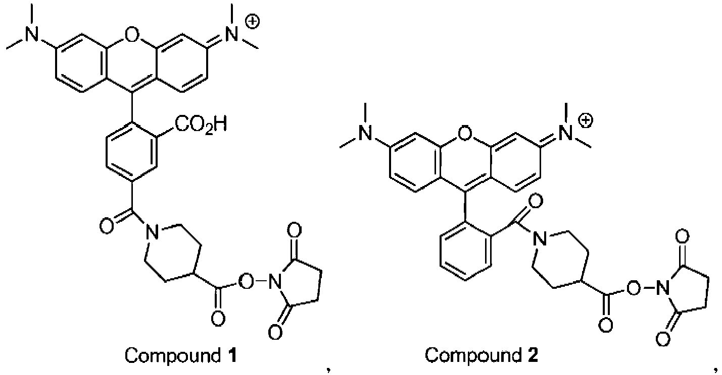 Figure imgb0015