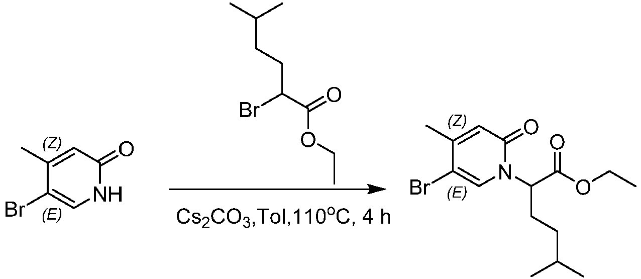 Figure imgb0333