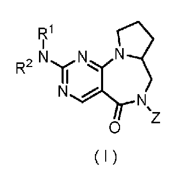 Figure JPOXMLDOC01-appb-C000012