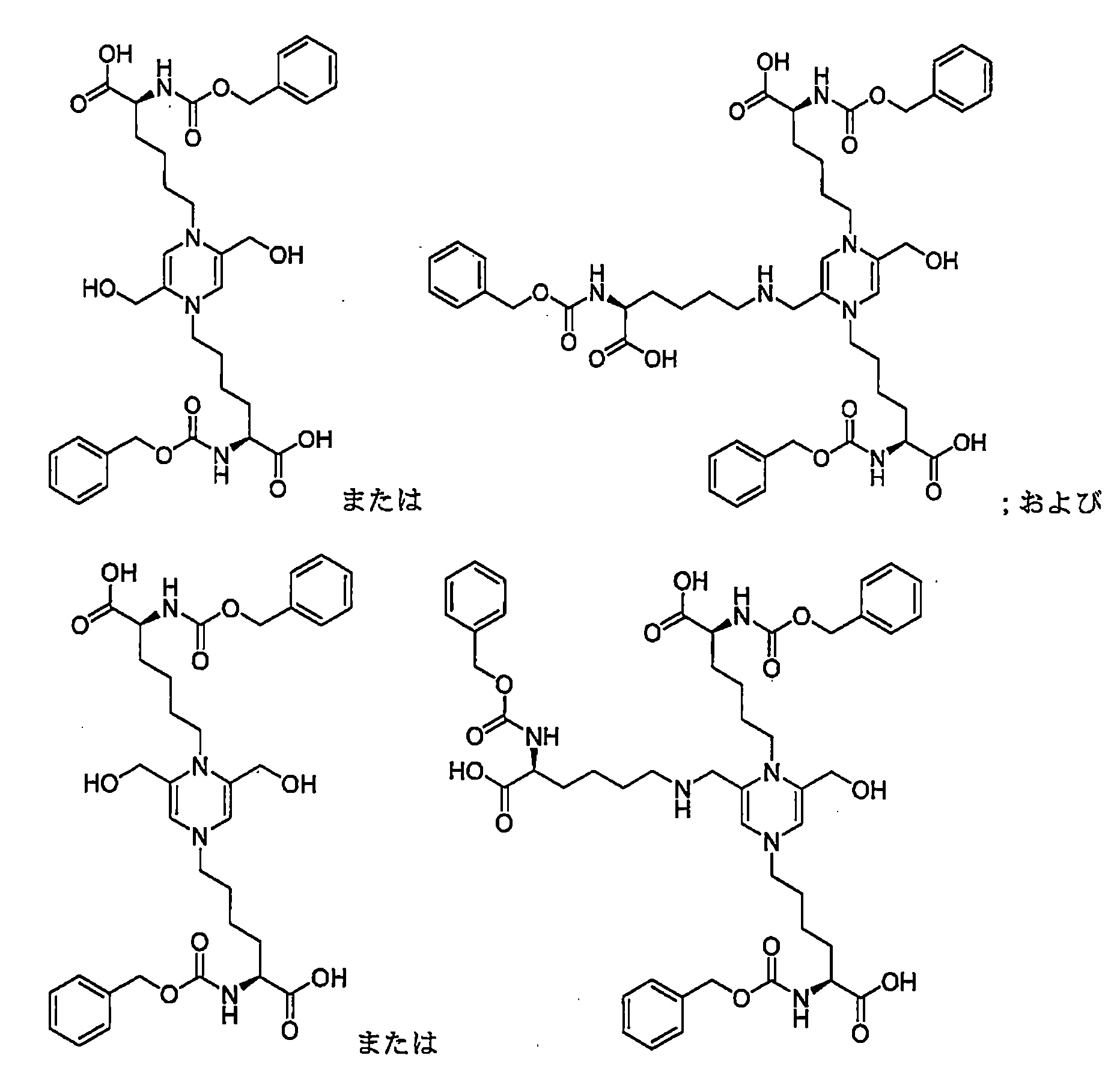 Figure JPOXMLDOC01-appb-C000033