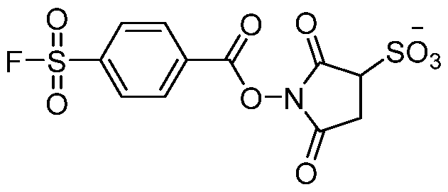 Figure imgf000142_0002