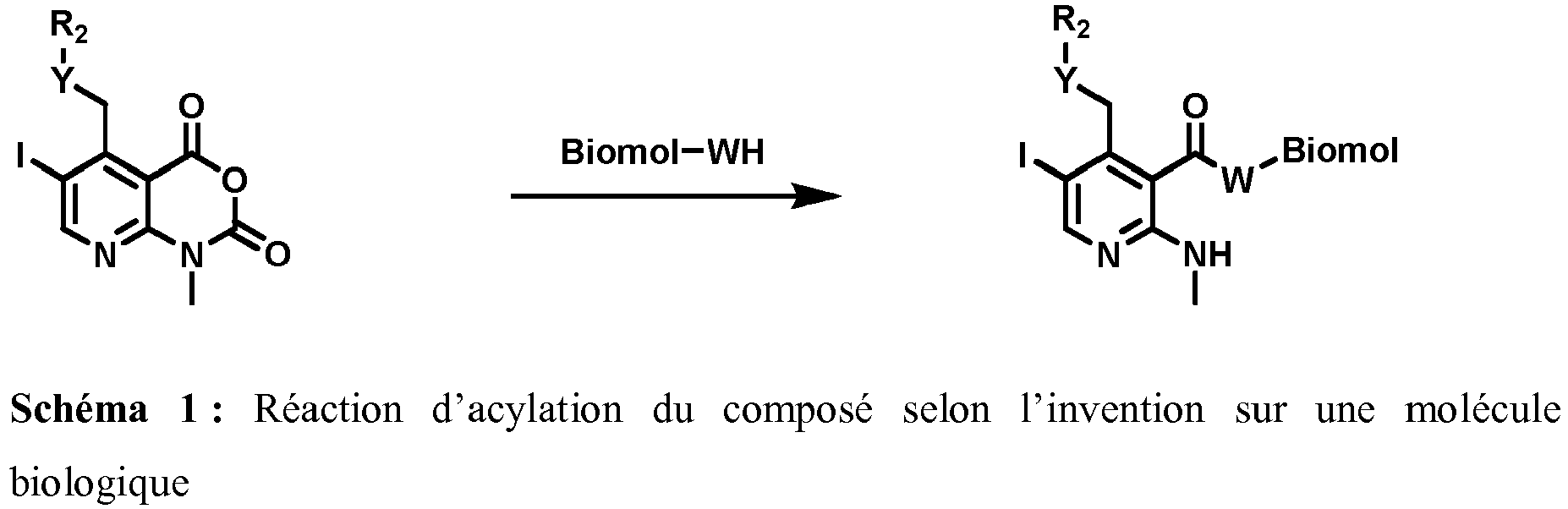 Figure imgb0010