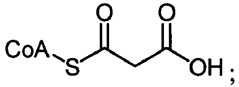 Figure imgb0095