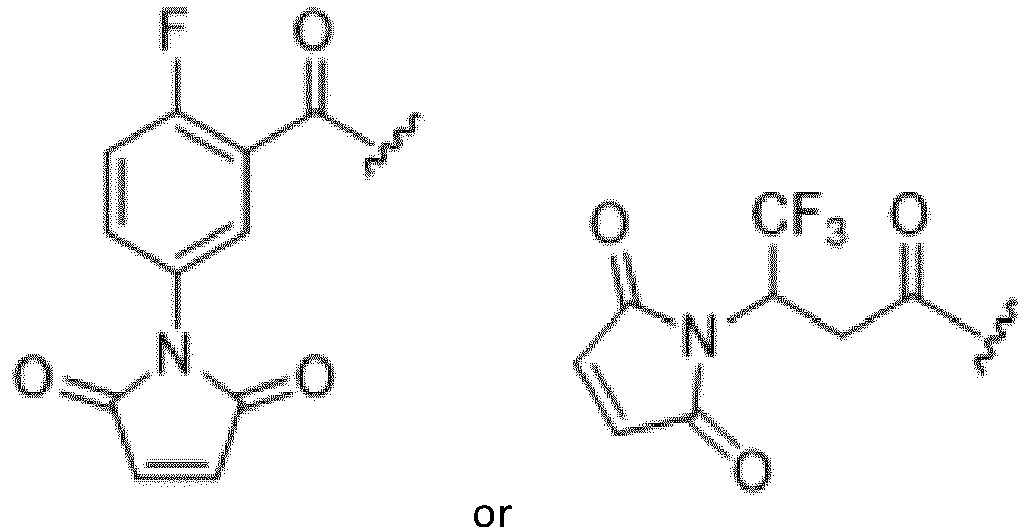 Figure imgb0010