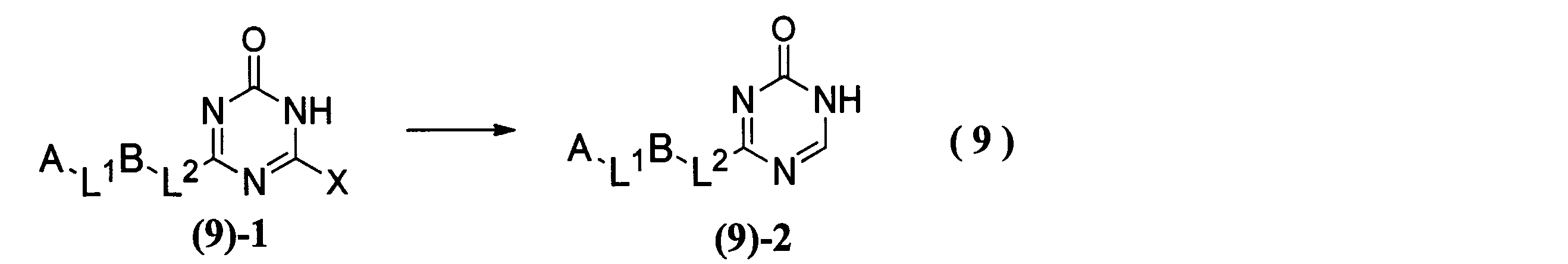 Figure JPOXMLDOC01-appb-C000041