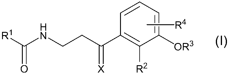 Figure JPOXMLDOC01-appb-C000009