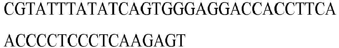 Figure imgb0181