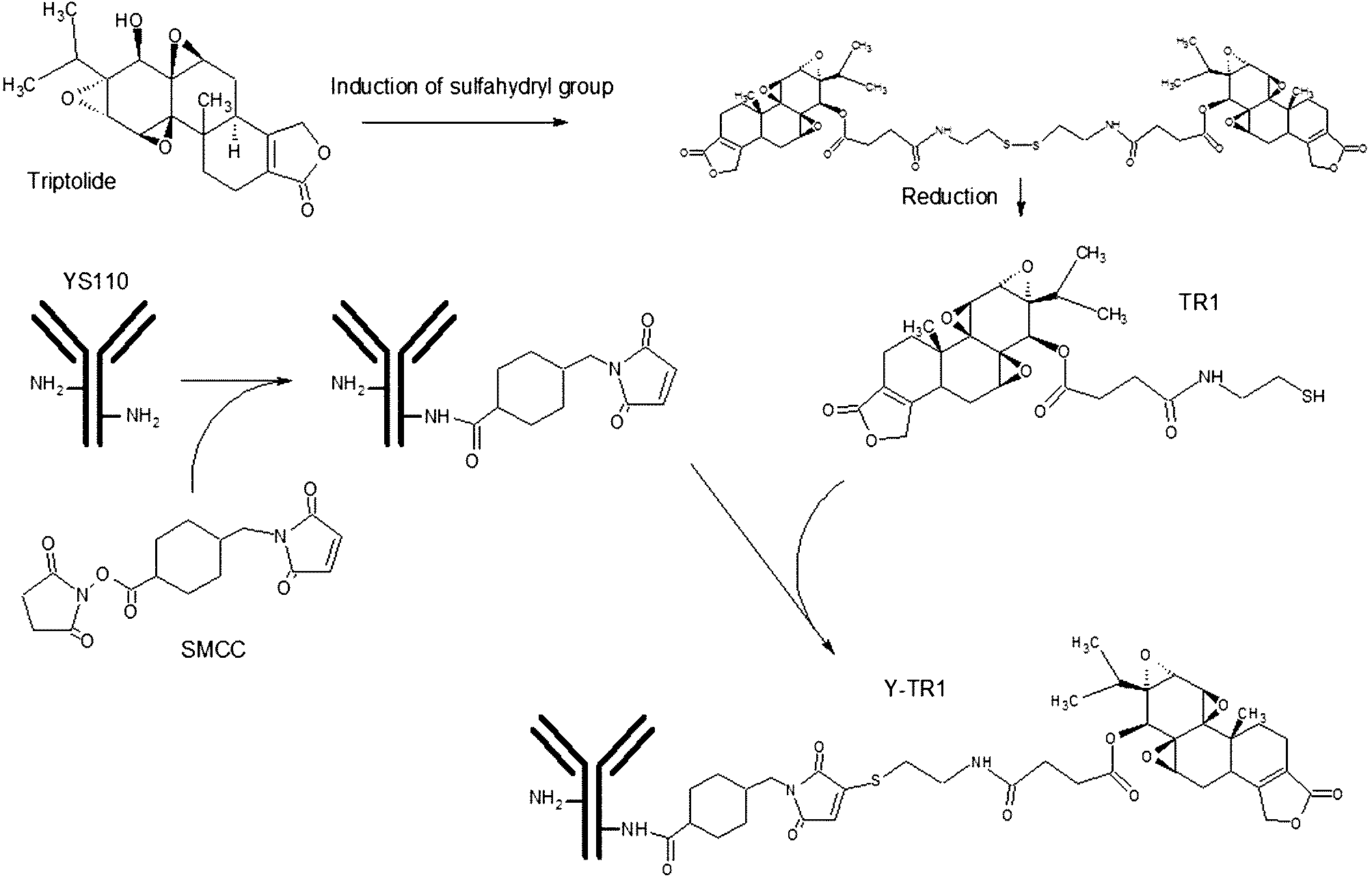 Figure JPOXMLDOC01-appb-C000011