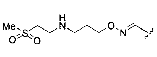Figure imgb0107
