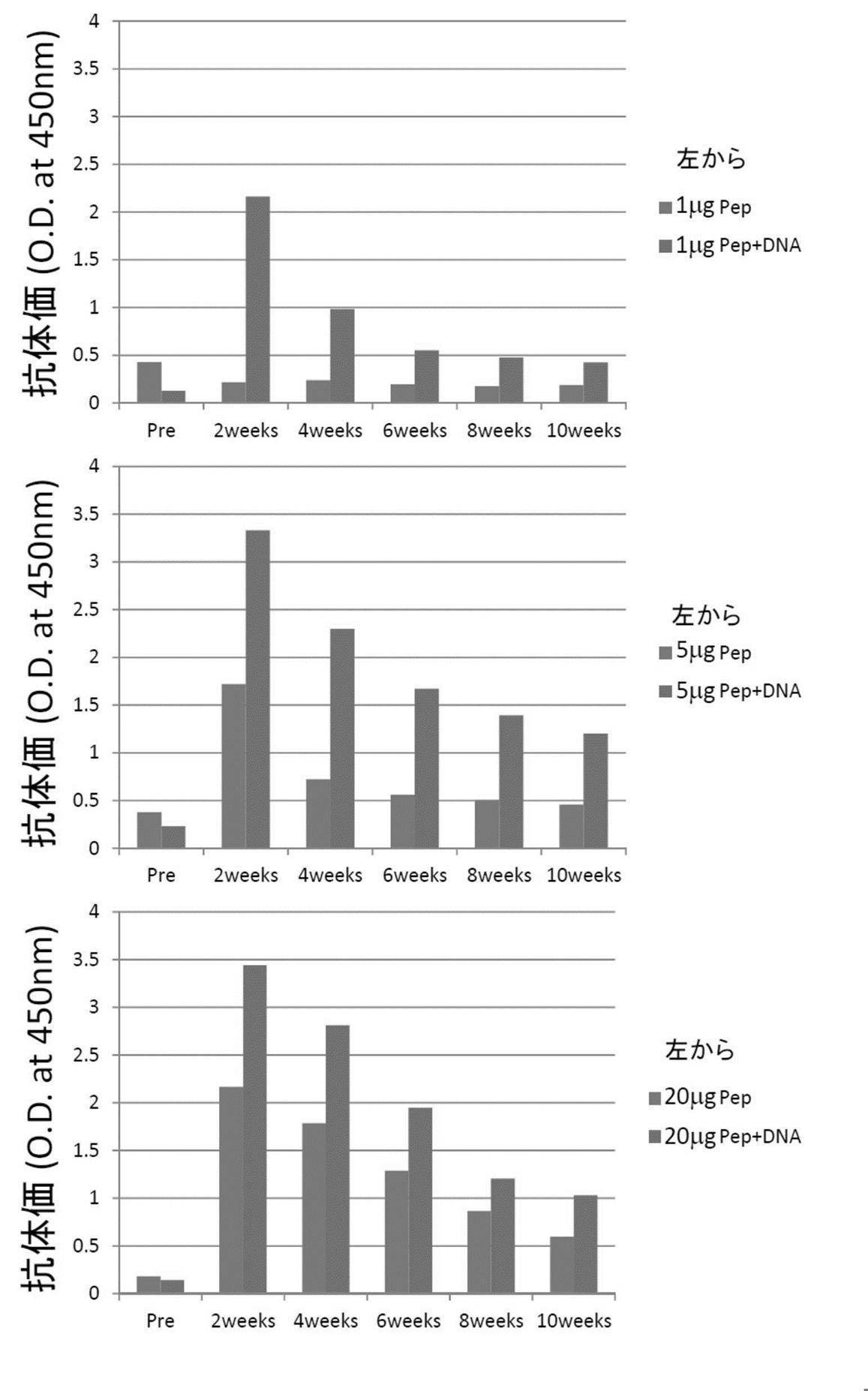 閉鎖 性 動脈 硬化 症 閉塞性動脈硬化症 Amp Petmd Com